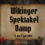 Wikinger-Spektakel Damp 2024