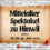 Mittelalterspektakel zu Hinwil (Schweiz) 2024